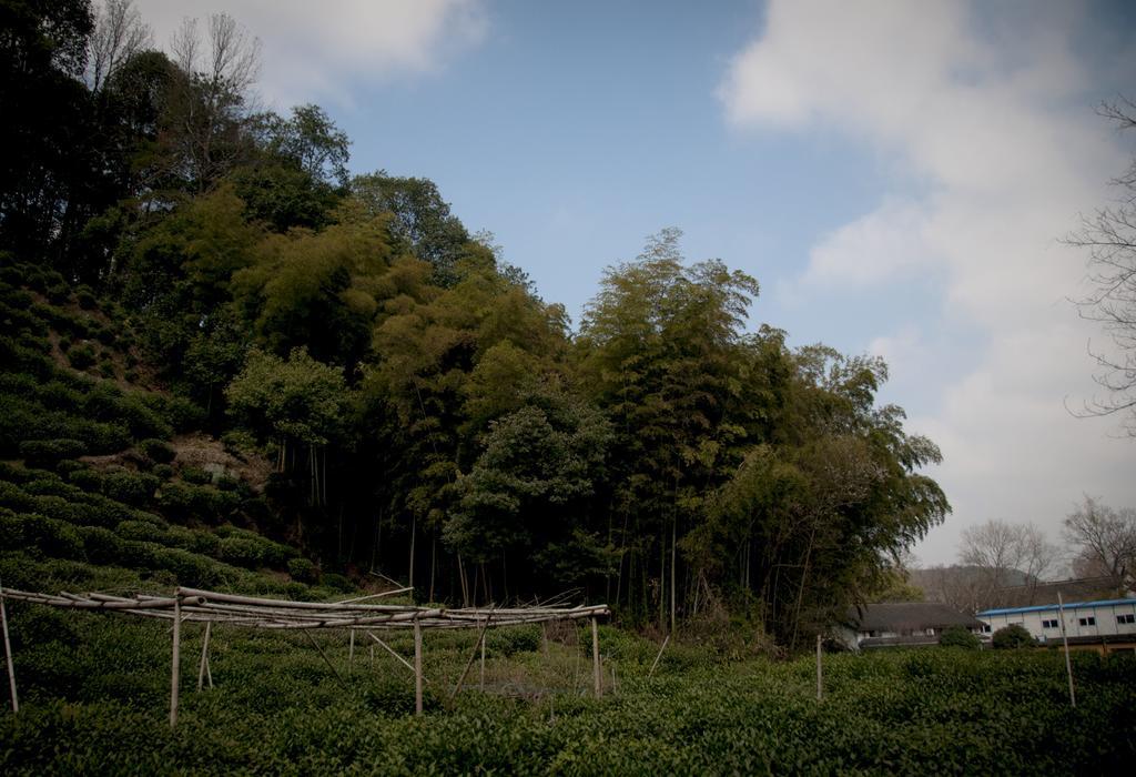 Hangzhou Banyan Art House Ngoại thất bức ảnh
