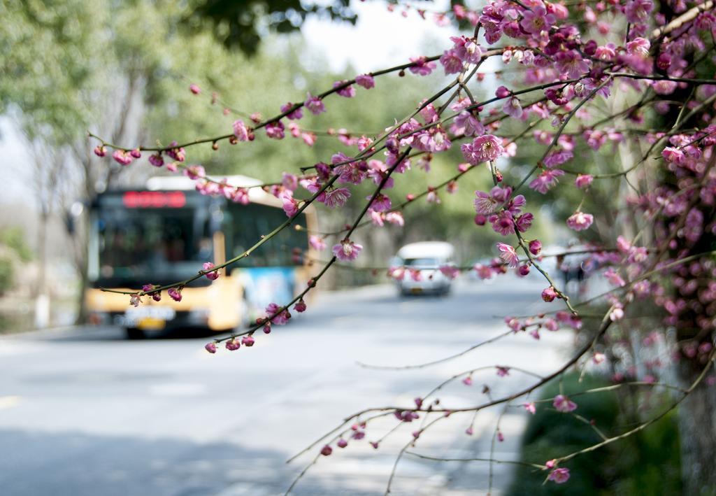 Hangzhou Banyan Art House Ngoại thất bức ảnh